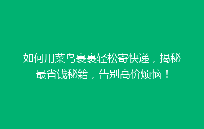 如何用菜鸟裹裹轻松寄快递，揭秘最省钱秘籍，告别高价烦恼！