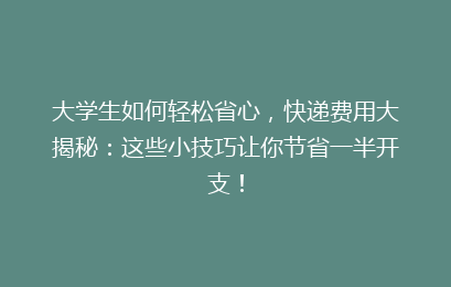 大学生如何轻松省心,快递费用大揭秘:这些小技巧让你节省一半开支!