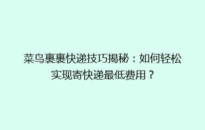 菜鸟裹裹快递技巧揭秘：如何轻松实现寄快递最低费用？
