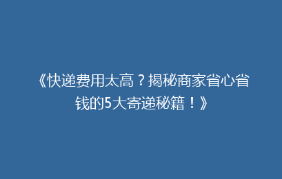 《快递费用太高？揭秘商家省心省钱的5大寄递秘籍！》