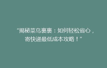 “揭秘菜鸟裹裹：如何轻松省心，寄快递最低成本攻略！”